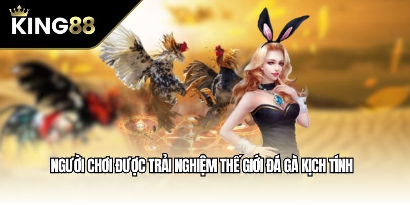 Người chơi được trải nghiệm thế giới đá gà kịch tính