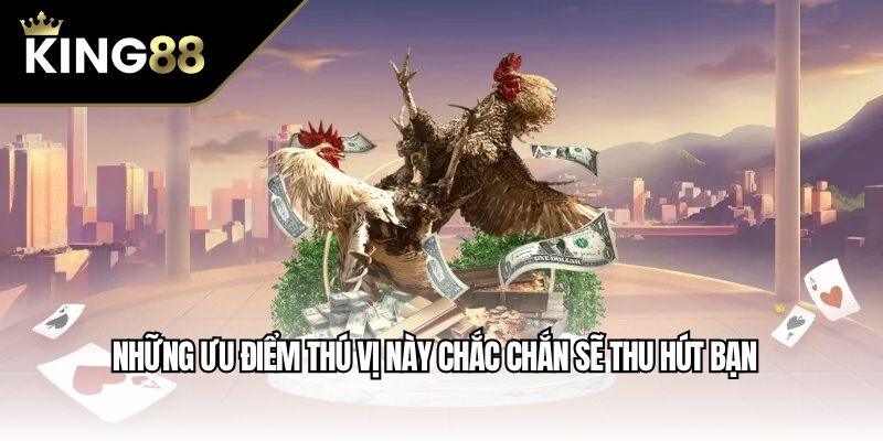 Những ưu điểm thú vị này chắc chắn sẽ thu hút bạn