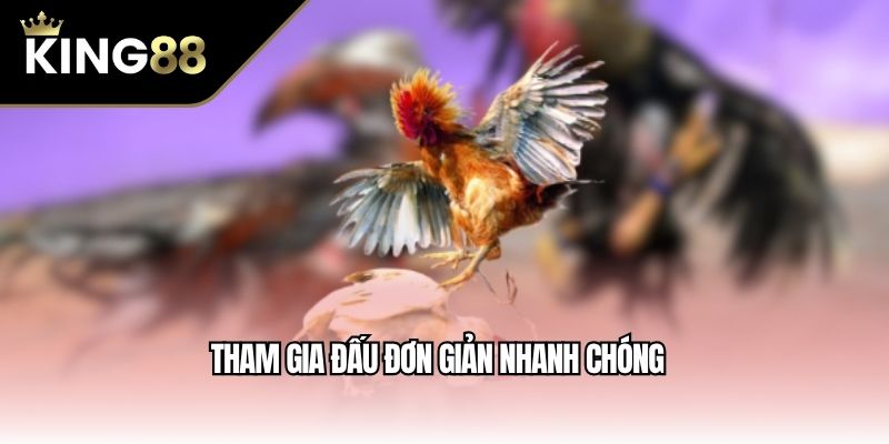 Tham gia đấu đơn giản nhanh chóng